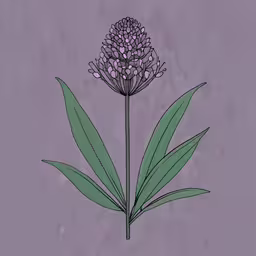 this is an image of a flower with purple petals,a close - up of a flower with green leaves