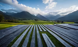 a wooden walkway that has grass and trees along the edges
