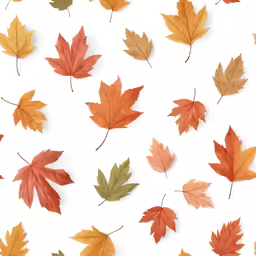 various fall leaves in the shape of a leaf