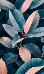 leaves with pink leaves on the top