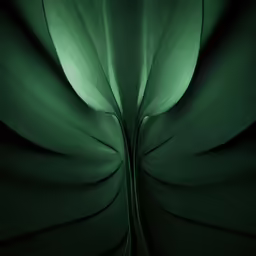 a dark green wallpaper with the top right corner open