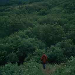 a man in an orange jacket walking down a trail through some bushes