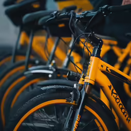a group of bicycles are sitting together in the street