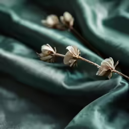 some pretty little white flowers on a green satin
