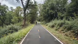 a man riding a bike down a country road