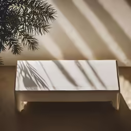 white wooden bench in front of a tree