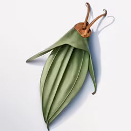 a green leaf with a wooden handle attached to it