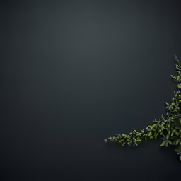 a plant is reaching up towards the sky