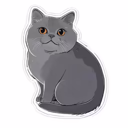 a gray cat with big eyes and yellow eyes