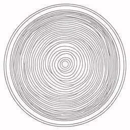 a circle with black lines in the center