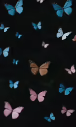 a group of butterflies flying through the air