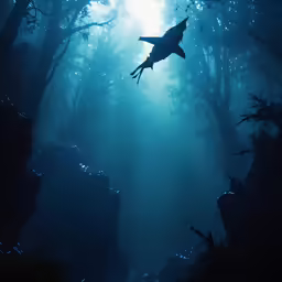 there is a very large shark in the blue water