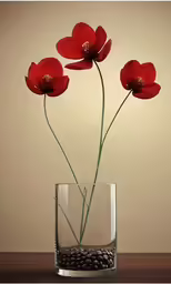 two red flowers in a glass vase on a table