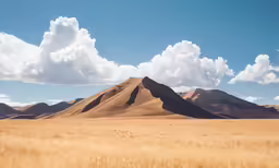 a large grassy field with mountains in the background