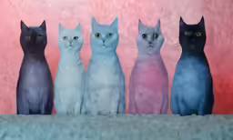 a group of cats sitting in front of a pink wall