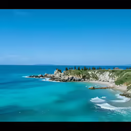 clear blue water on a beach near trees and sand