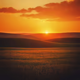 an orange sunset behind a field of tall grass