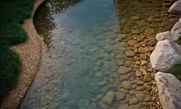 rocks and grass by the water, are separated by gravel
