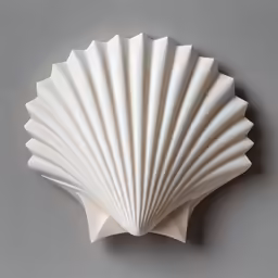 the scallop shell is made of white clay