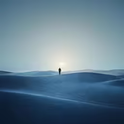 two men walking in a large wide field under the sun