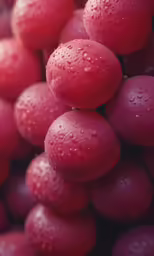 a close up photo of grapes with water drops