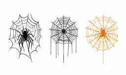 four spider webs sitting next to each other