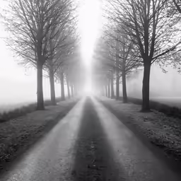 the sun rays on the road in front of a group of trees
