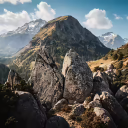 a rocky mountain with a group of trees and mountains in the background