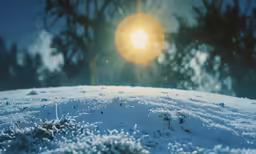 a bright yellow sun shines above the snow covered ground