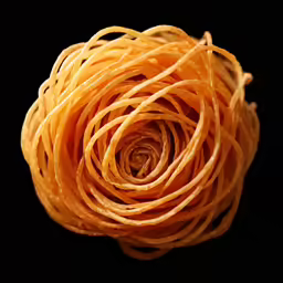 a close up view of a piece of pasta noodles