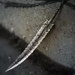 two feathers that are laying on the ground