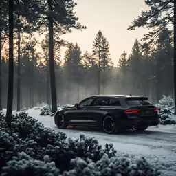 a black bmw parked on a road in front of trees
