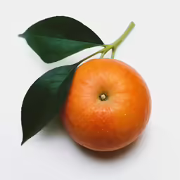an orange with a leaf is lying on the table