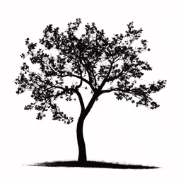 tree drawing on white background with black ink