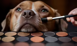 a dog with the eyeshadp partially over its mouth, staring at the camera