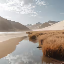 the beach has water and long grass on the shore