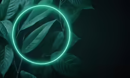 the neon ring on a green background with leaves