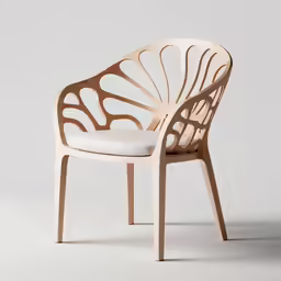 an image of a chair in the shape of a shell