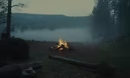 a small camp fire with trees and fog