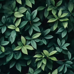 green leaves are spread around a wall