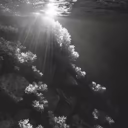 a beautiful sunbeam shines in the sky over rocky terrain