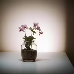 small jar holding pink flowers on light gray table