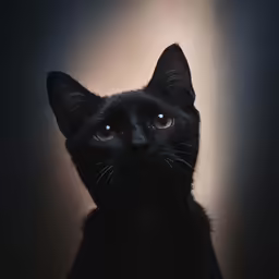 a black cat with green eyes staring off into the distance