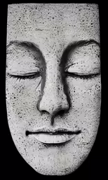an artistic black and white photograph of a face