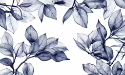 leaves are shown in black and white against a white background