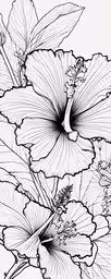 a flower with leaves on a black and white background,the black and white drawing of an orchid flower