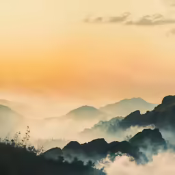 a lone bird flying above a mountain range covered in fog
