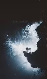 a silhouette of a horse in water with dark sky