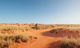 a man riding on top of a dirt road in the desert