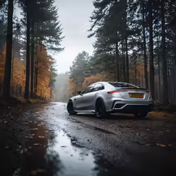 the rear view of a silver car in front of trees